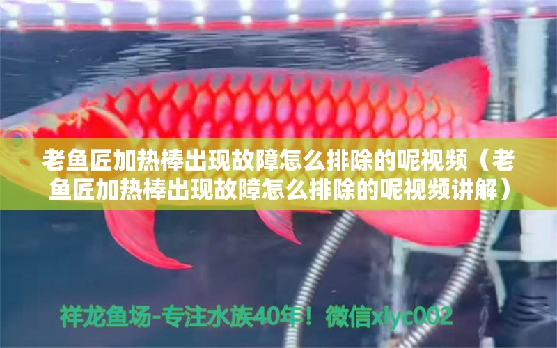 老魚匠加熱棒出現(xiàn)故障怎么排除的呢視頻（老魚匠加熱棒出現(xiàn)故障怎么排除的呢視頻講解）