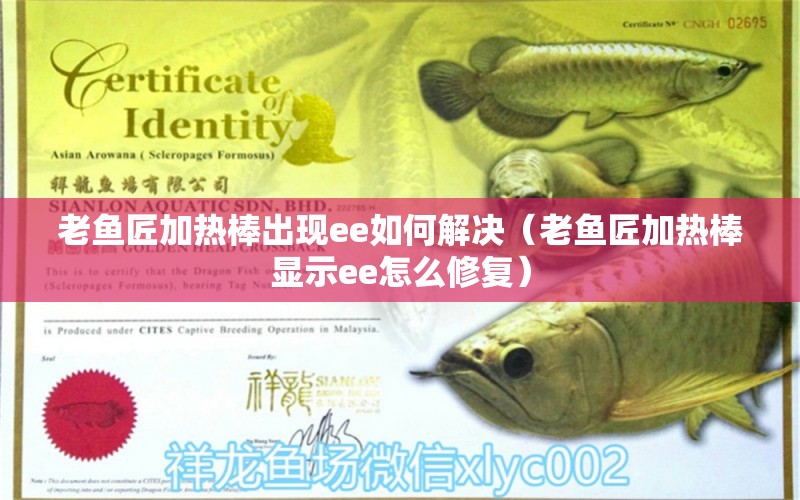 老魚匠加熱棒出現(xiàn)ee如何解決（老魚匠加熱棒顯示ee怎么修復(fù)） 老魚匠