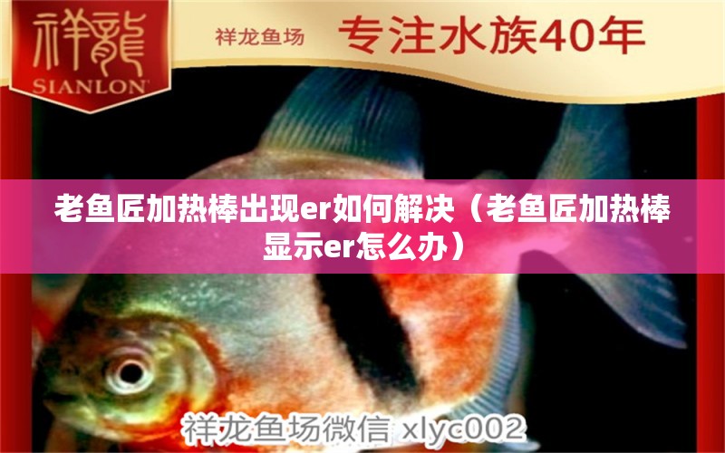 老魚匠加熱棒出現(xiàn)er如何解決（老魚匠加熱棒顯示er怎么辦）