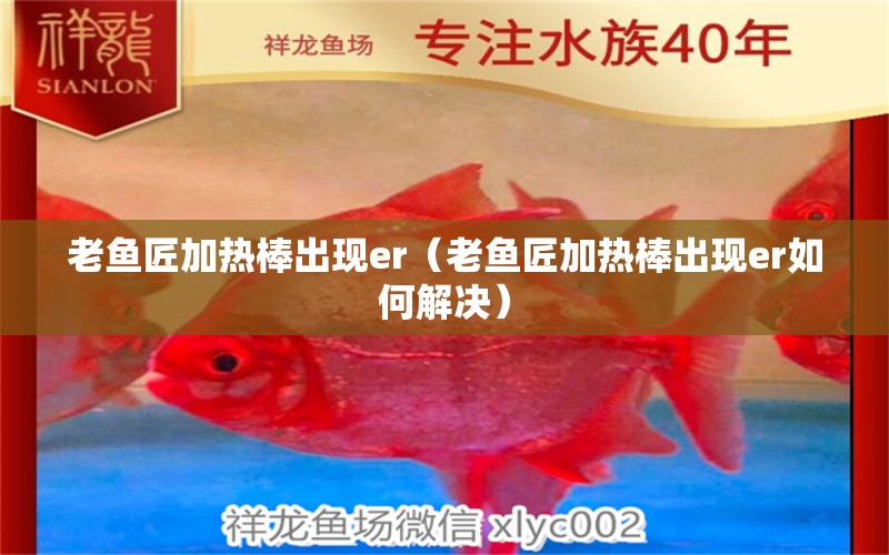 老魚匠加熱棒出現(xiàn)er（老魚匠加熱棒出現(xiàn)er如何解決） 老魚匠