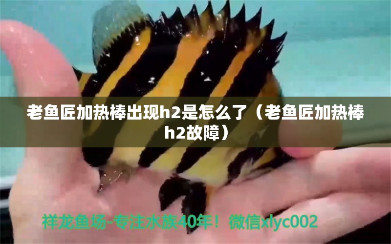 老魚匠加熱棒出現(xiàn)h2是怎么了（老魚匠加熱棒h2故障）