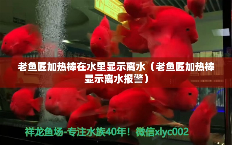 老魚匠加熱棒在水里顯示離水（老魚匠加熱棒顯示離水報警）