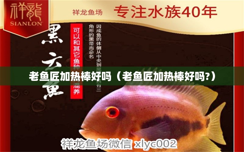 老魚匠加熱棒好嗎（老魚匠加熱棒好嗎?）