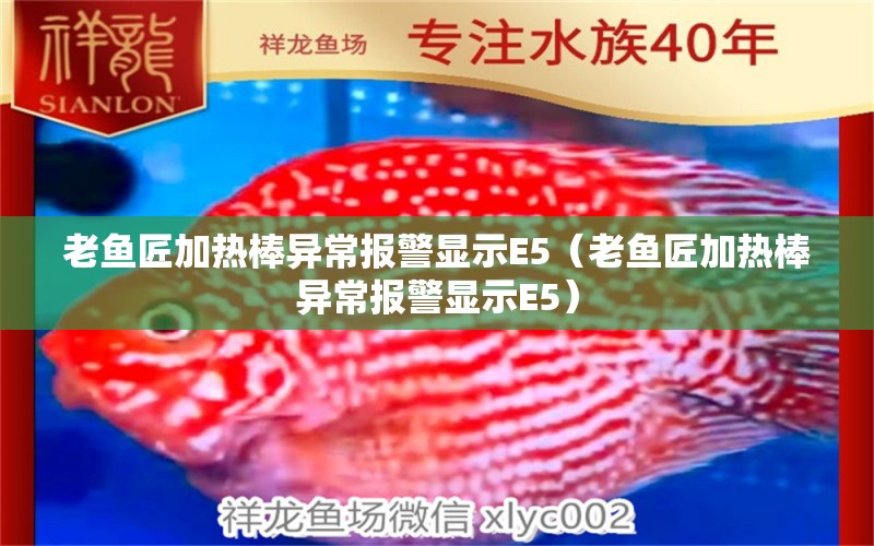 老魚(yú)匠加熱棒異常報(bào)警顯示E5（老魚(yú)匠加熱棒異常報(bào)警顯示E5） 老魚(yú)匠