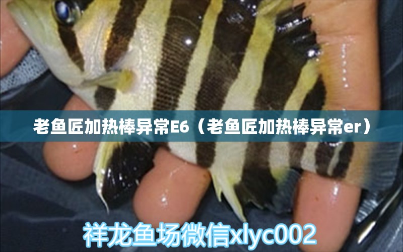 老魚匠加熱棒異常E6（老魚匠加熱棒異常er）