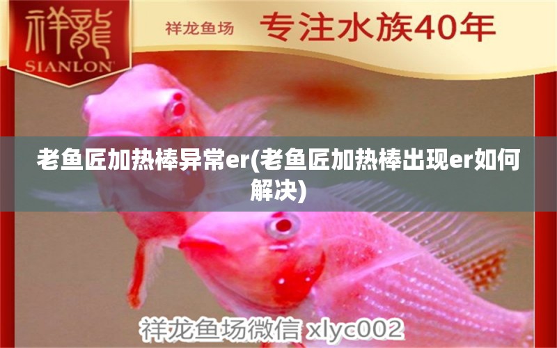 老魚匠加熱棒異常er(老魚匠加熱棒出現(xiàn)er如何解決) 老魚匠