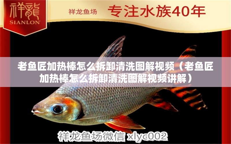 老魚匠加熱棒怎么拆卸清洗圖解視頻（老魚匠加熱棒怎么拆卸清洗圖解視頻講解） 老魚匠