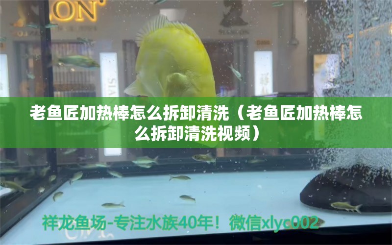 老魚匠加熱棒怎么拆卸清洗（老魚匠加熱棒怎么拆卸清洗視頻） 老魚匠