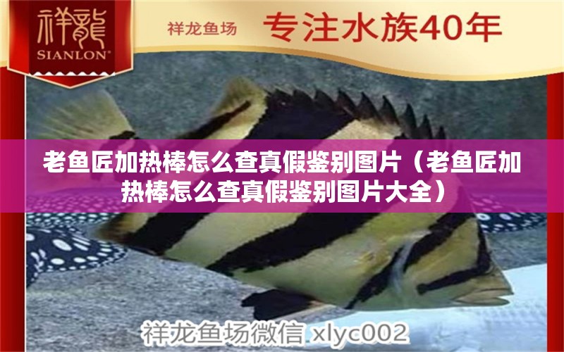 老魚(yú)匠加熱棒怎么查真假鑒別圖片（老魚(yú)匠加熱棒怎么查真假鑒別圖片大全）