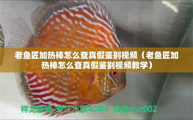 老魚(yú)匠加熱棒怎么查真假鑒別視頻（老魚(yú)匠加熱棒怎么查真假鑒別視頻教學(xué)）