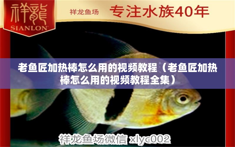 老魚匠加熱棒怎么用的視頻教程（老魚匠加熱棒怎么用的視頻教程全集）