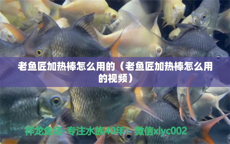 老魚匠加熱棒怎么用的（老魚匠加熱棒怎么用的視頻）