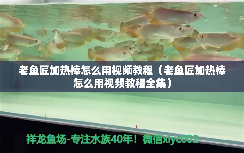 老魚(yú)匠加熱棒怎么用視頻教程（老魚(yú)匠加熱棒怎么用視頻教程全集）