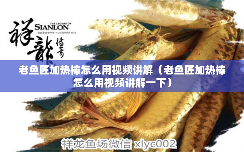 老魚匠加熱棒怎么用視頻講解（老魚匠加熱棒怎么用視頻講解一下）