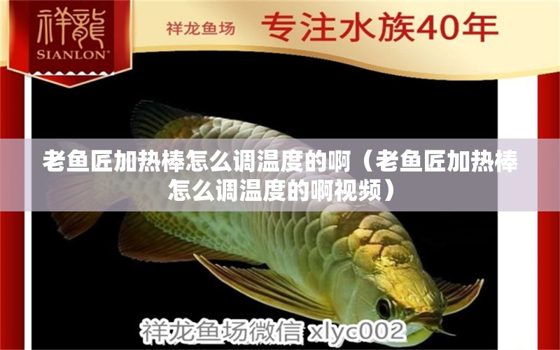 老魚匠加熱棒怎么調(diào)溫度的?。ɡ萧~匠加熱棒怎么調(diào)溫度的啊視頻）