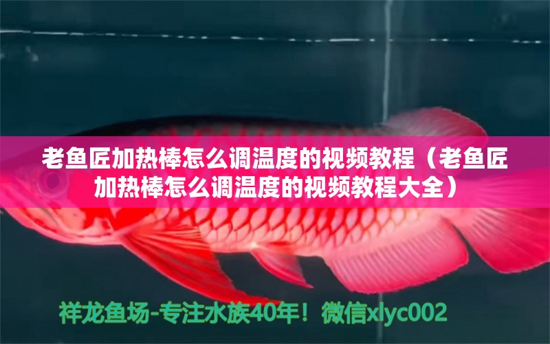 老魚匠加熱棒怎么調(diào)溫度的視頻教程（老魚匠加熱棒怎么調(diào)溫度的視頻教程大全）