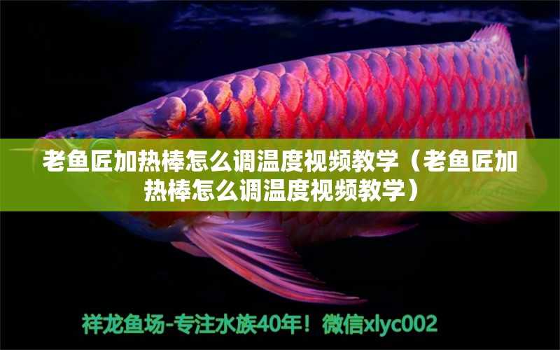 老魚匠加熱棒怎么調(diào)溫度視頻教學(xué)（老魚匠加熱棒怎么調(diào)溫度視頻教學(xué)）