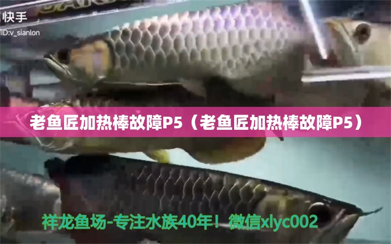 老魚匠加熱棒故障P5（老魚匠加熱棒故障P5）