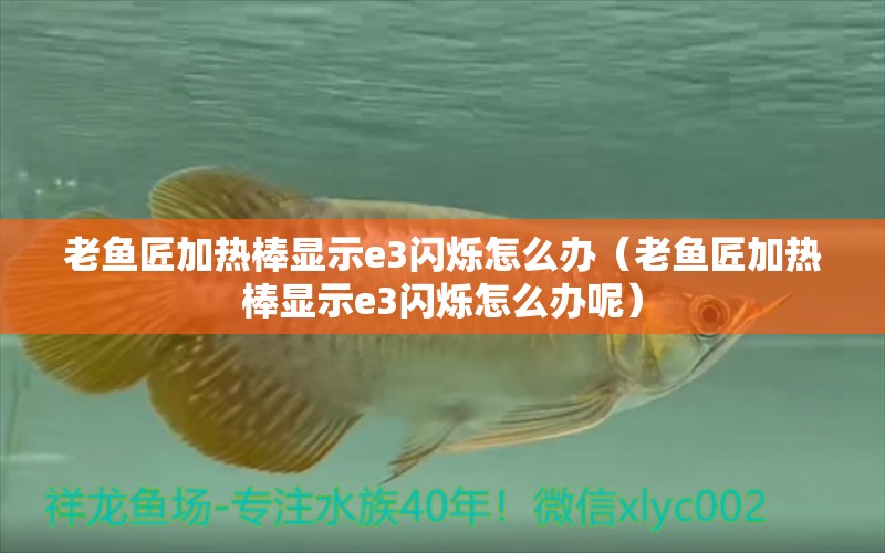 老魚匠加熱棒顯示e3閃爍怎么辦（老魚匠加熱棒顯示e3閃爍怎么辦呢）