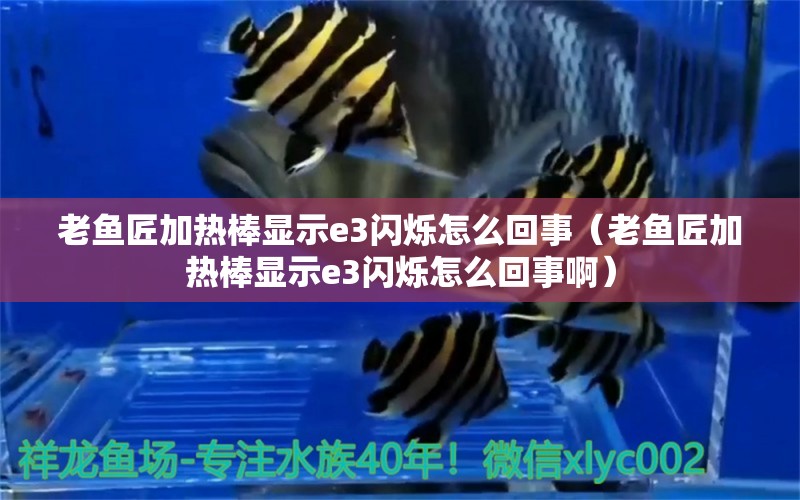 老魚匠加熱棒顯示e3閃爍怎么回事（老魚匠加熱棒顯示e3閃爍怎么回事?。? title=