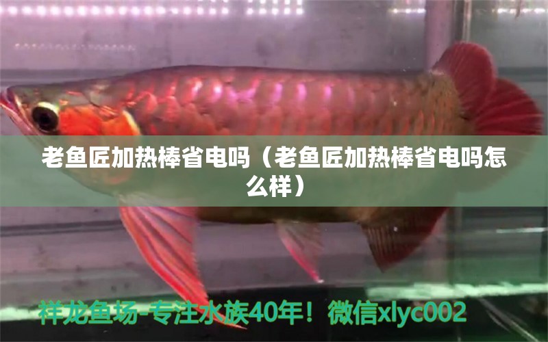 老魚匠加熱棒省電嗎（老魚匠加熱棒省電嗎怎么樣） 老魚匠