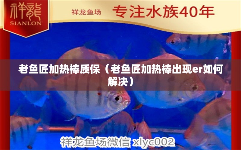 老魚匠加熱棒質保（老魚匠加熱棒出現(xiàn)er如何解決） 龍魚百科