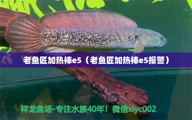 老魚匠加熱棒e5（老魚匠加熱棒e5報警） 老魚匠