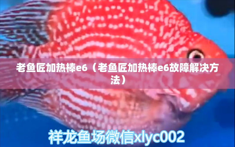 老魚匠加熱棒e6（老魚匠加熱棒e6故障解決方法）