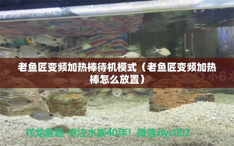 老魚匠變頻加熱棒待機模式（老魚匠變頻加熱棒怎么放置）