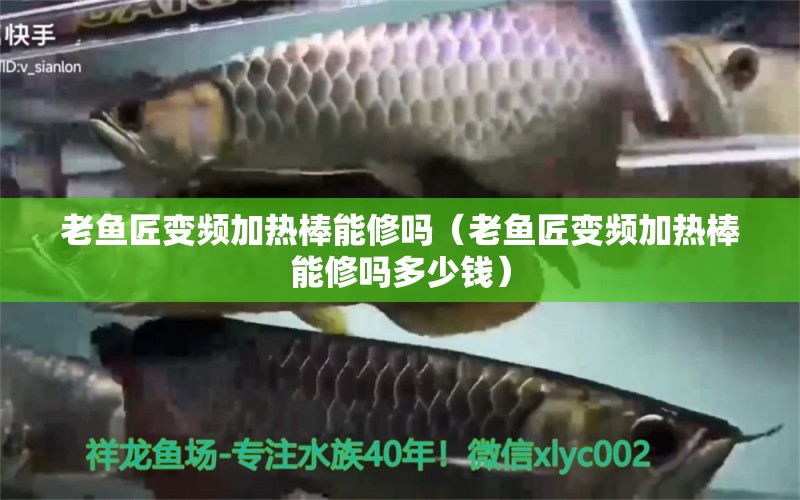 老魚匠變頻加熱棒能修嗎（老魚匠變頻加熱棒能修嗎多少錢）