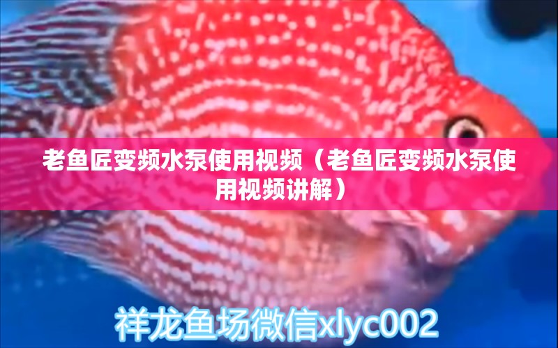 老魚匠變頻水泵使用視頻（老魚匠變頻水泵使用視頻講解） 老魚匠