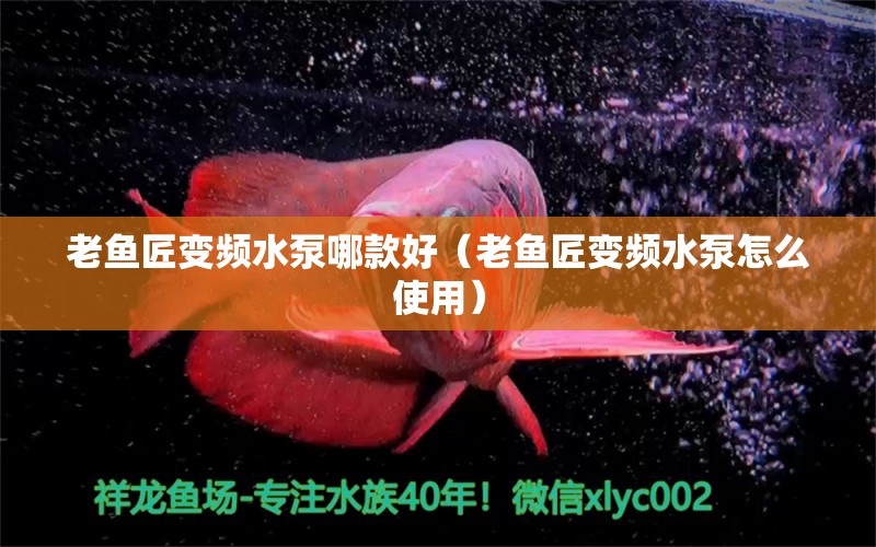 老魚(yú)匠變頻水泵哪款好（老魚(yú)匠變頻水泵怎么使用） 老魚(yú)匠