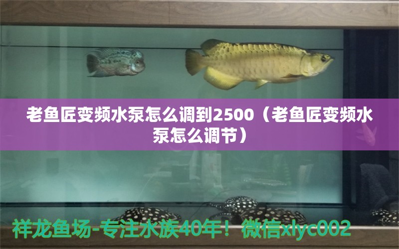 老魚匠變頻水泵怎么調(diào)到2500（老魚匠變頻水泵怎么調(diào)節(jié)） 老魚匠