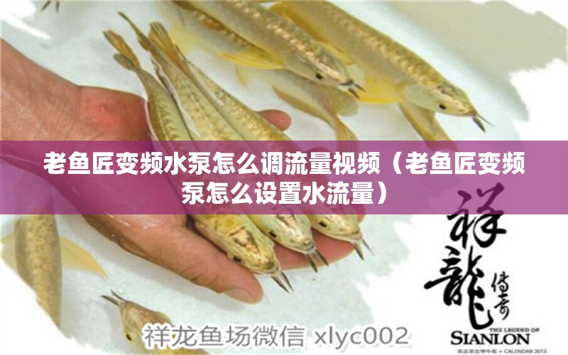 老魚匠變頻水泵怎么調(diào)流量視頻（老魚匠變頻泵怎么設(shè)置水流量）