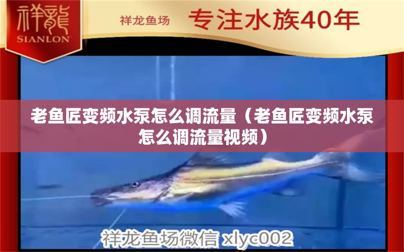 老魚匠變頻水泵怎么調(diào)流量（老魚匠變頻水泵怎么調(diào)流量視頻）