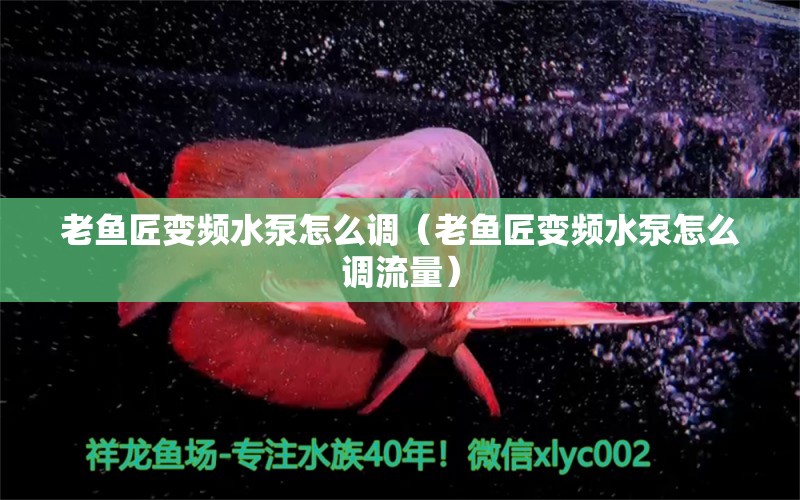 老魚匠變頻水泵怎么調(diào)（老魚匠變頻水泵怎么調(diào)流量）