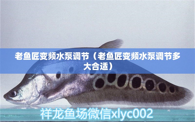 老魚匠變頻水泵調(diào)節(jié)（老魚匠變頻水泵調(diào)節(jié)多大合適）