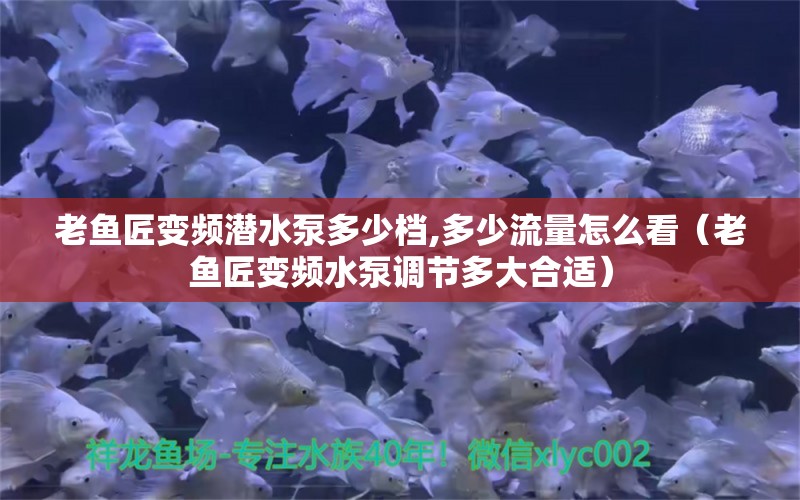 老魚匠變頻潛水泵多少檔,多少流量怎么看（老魚匠變頻水泵調(diào)節(jié)多大合適）