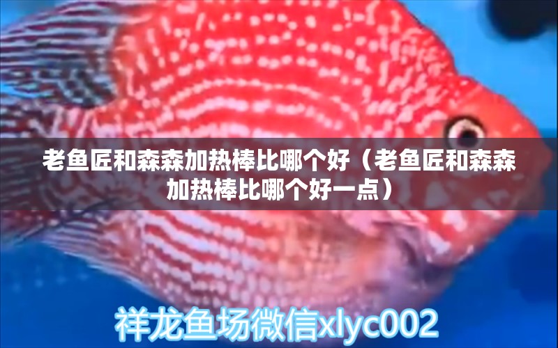 老魚匠和森森加熱棒比哪個好（老魚匠和森森加熱棒比哪個好一點(diǎn)）