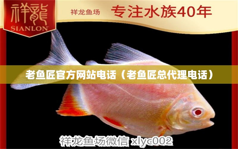 老魚(yú)匠官方網(wǎng)站電話(huà)（老魚(yú)匠總代理電話(huà)） 老魚(yú)匠