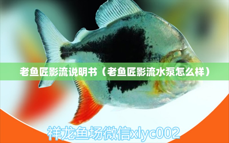 老魚匠影流說明書（老魚匠影流水泵怎么樣）