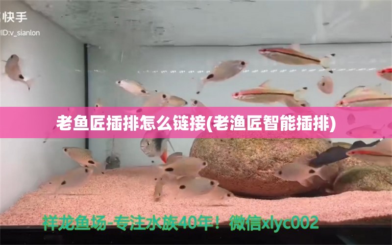 老魚匠插排怎么鏈接(老漁匠智能插排) 老魚匠