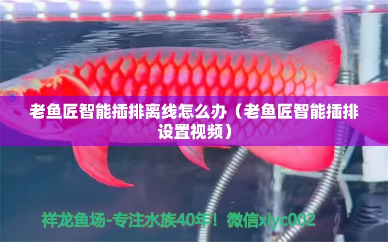 老魚匠智能插排離線怎么辦（老魚匠智能插排設置視頻）