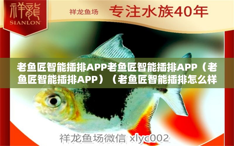 老魚(yú)匠智能插排APP老魚(yú)匠智能插排APP（老魚(yú)匠智能插排APP）（老魚(yú)匠智能插排怎么樣） 老魚(yú)匠