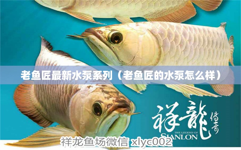 老魚(yú)匠最新水泵系列（老魚(yú)匠的水泵怎么樣） 老魚(yú)匠