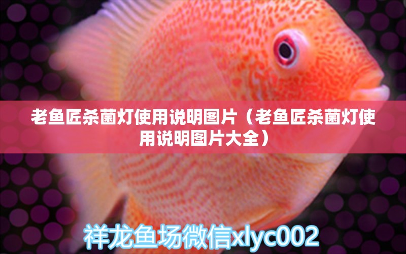 老魚(yú)匠殺菌燈使用說(shuō)明圖片（老魚(yú)匠殺菌燈使用說(shuō)明圖片大全）