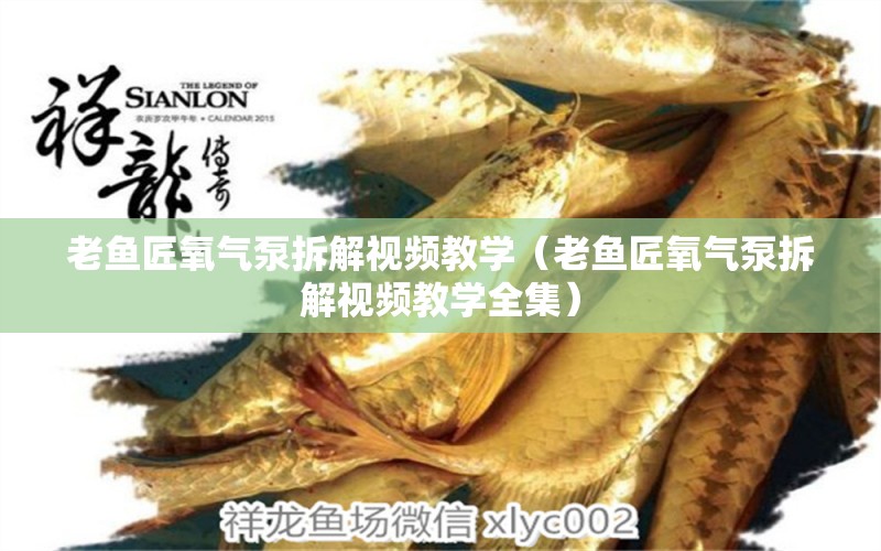 老魚(yú)匠氧氣泵拆解視頻教學(xué)（老魚(yú)匠氧氣泵拆解視頻教學(xué)全集）