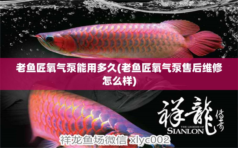 老魚匠氧氣泵能用多久(老魚匠氧氣泵售后維修怎么樣) 老魚匠