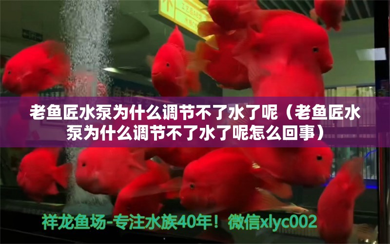 老魚(yú)匠水泵為什么調(diào)節(jié)不了水了呢（老魚(yú)匠水泵為什么調(diào)節(jié)不了水了呢怎么回事） 老魚(yú)匠