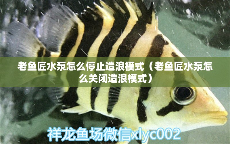 老魚匠水泵怎么停止造浪模式（老魚匠水泵怎么關(guān)閉造浪模式）